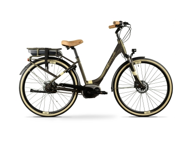 Electric bicycles